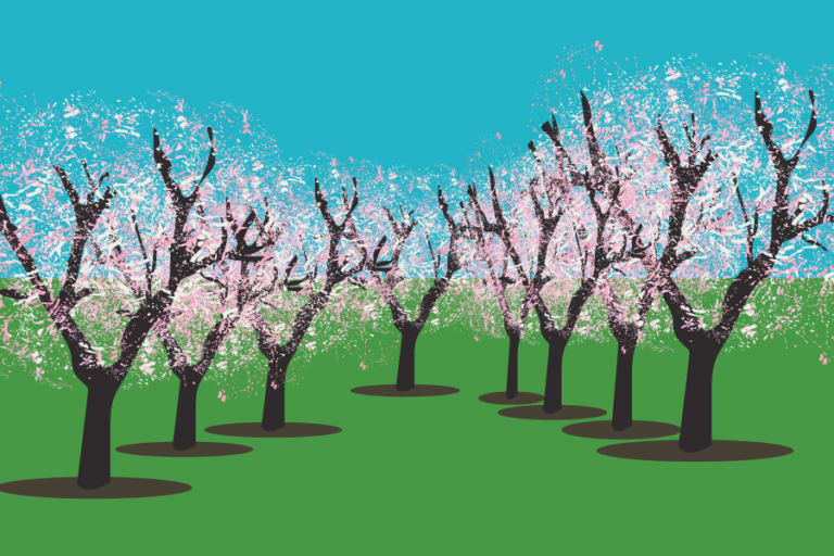 Almond orchard recycling a sustainable and beneficial strategy for growing almonds