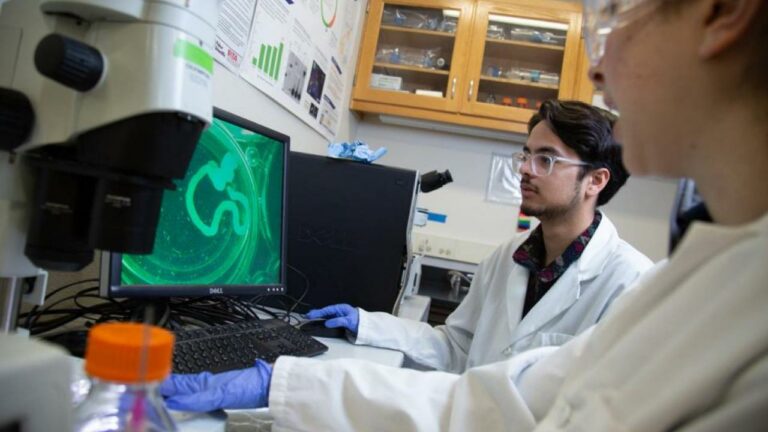 AvenueB guides transfer students within biological sciences toward success