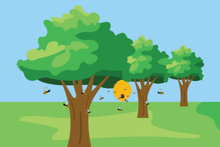 Woodland undertakes beautification project to encourage pollination