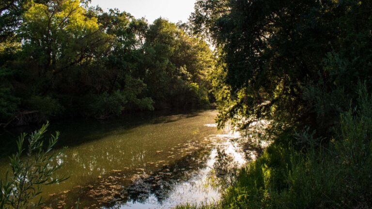 Excursions in and around Davis