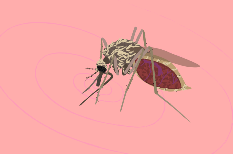 New study highlights success of gene drive technology with preventing mosquito-spread diseases