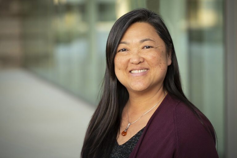 UC Davis nursing professor named as fellow in American Medical Informatics Association