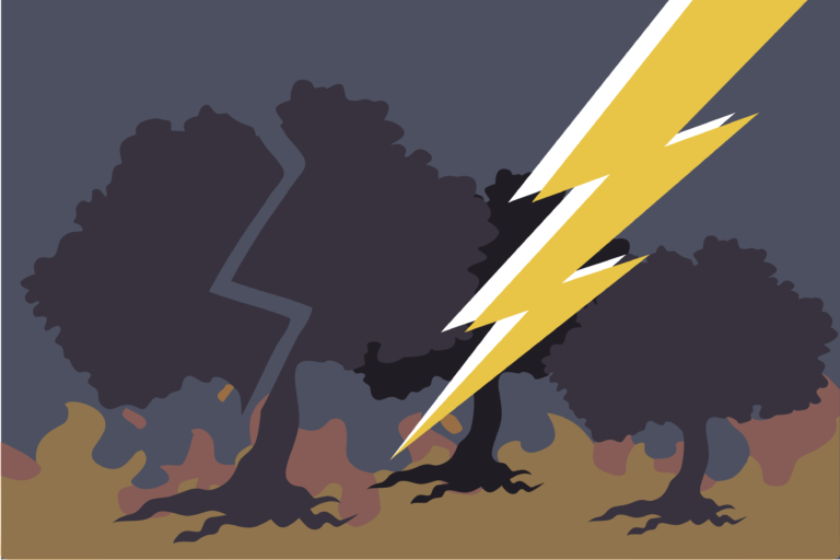 Dry conditions linked to climate change contributed to wildfire spread in Northern California