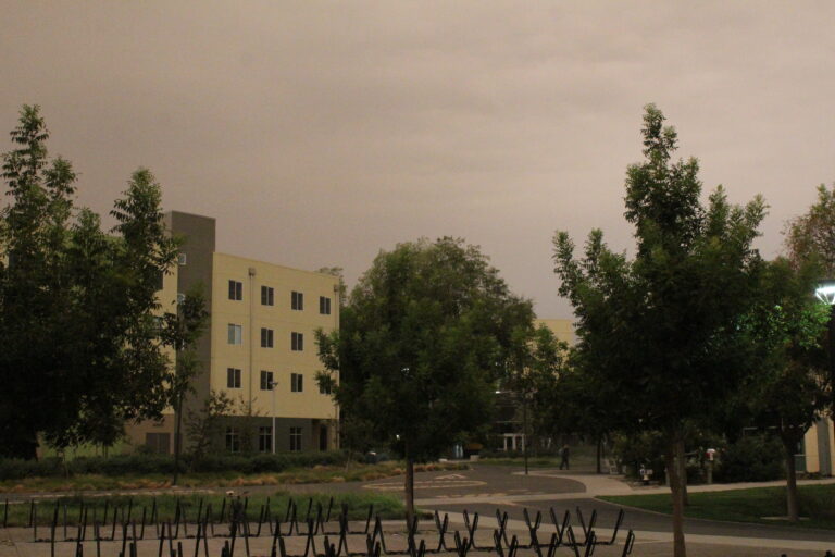 Unhealthy air conditions due to wildfires may cause long-term health effects