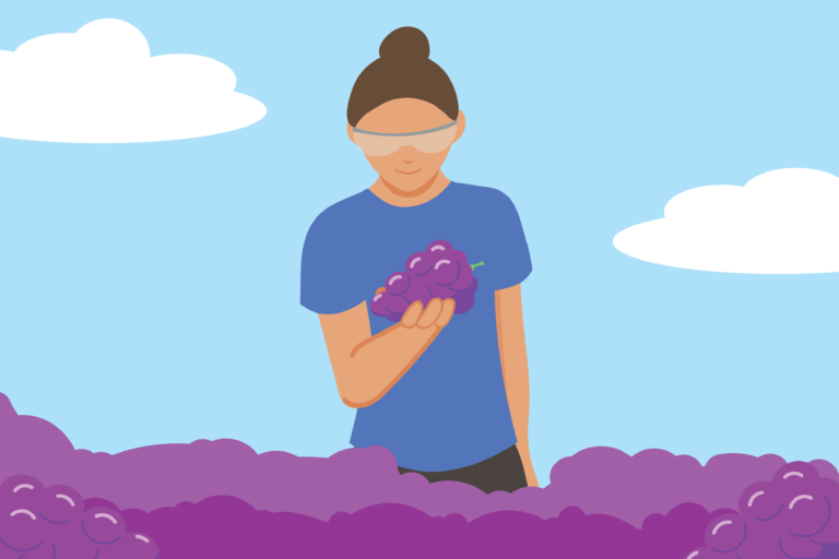 Viticulture and Enology department begins quarter with remote instruction, new wine-selling abilities