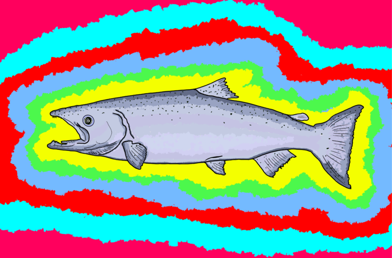 Trump Administration is trying to raise Shasta Dam, again