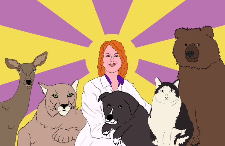 UC Davis partners with government agency to treat animals injured by wildfires