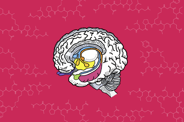 Oxytocin decreases social anxiety in mice, according to UC Davis study