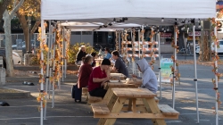 Local businesses facing difficulties amidst move to purple tier