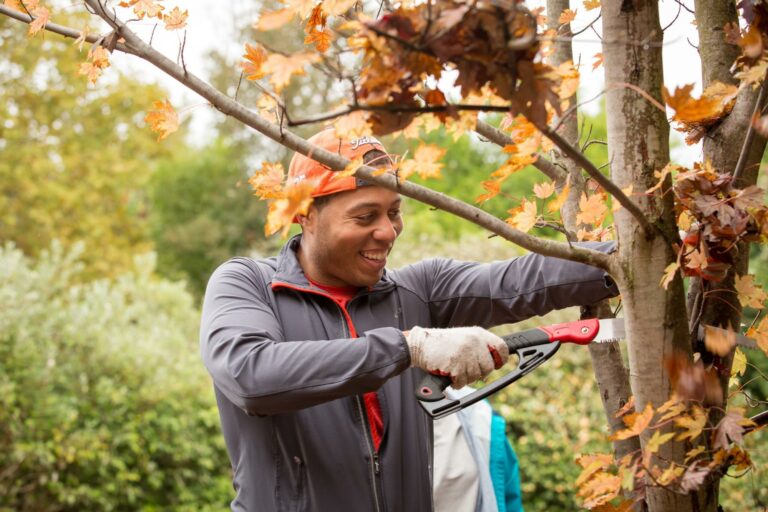Tree Davis recruits volunteers to build Davis’ ‘urban forest’ during the pandemic