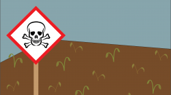 EPA reapproves use of dangerous pesticide