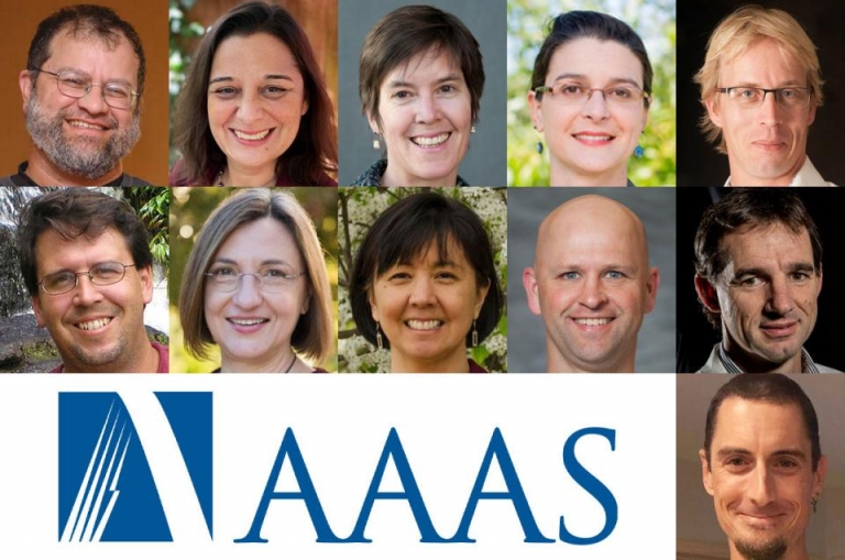 11 faculty members named AAAS’ 2020 Fellows