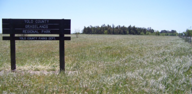 New trail and dog park opened at Grasslands Regional Park