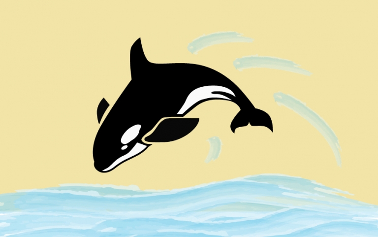 Study analyzes a decade of necropsies from stranded killer whales