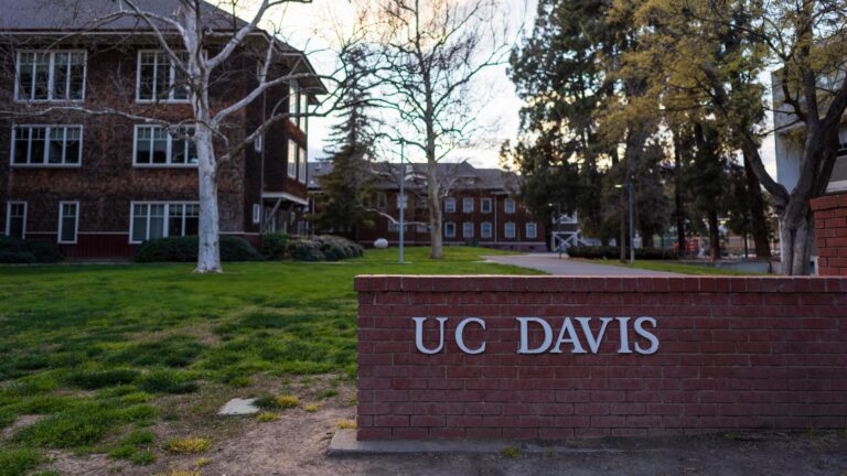 14 activities to do before graduating this year