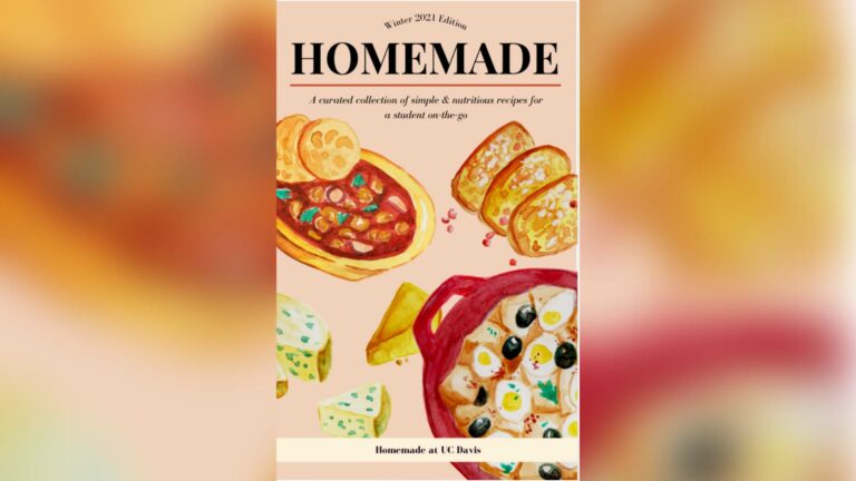 Homemade brings healthy meals and community to students