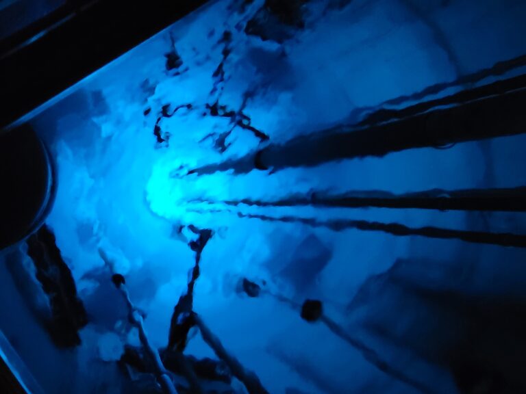 NASA teams up with UC Davis to land the Perseverance rover on Mars