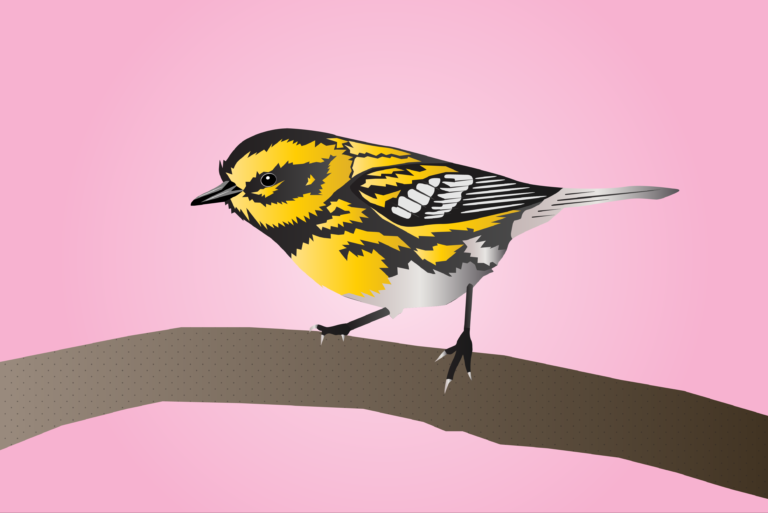 It’s 2021, why are some species still named after confederate leaders?