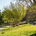 springplants_fe_QUINN_SPOONER