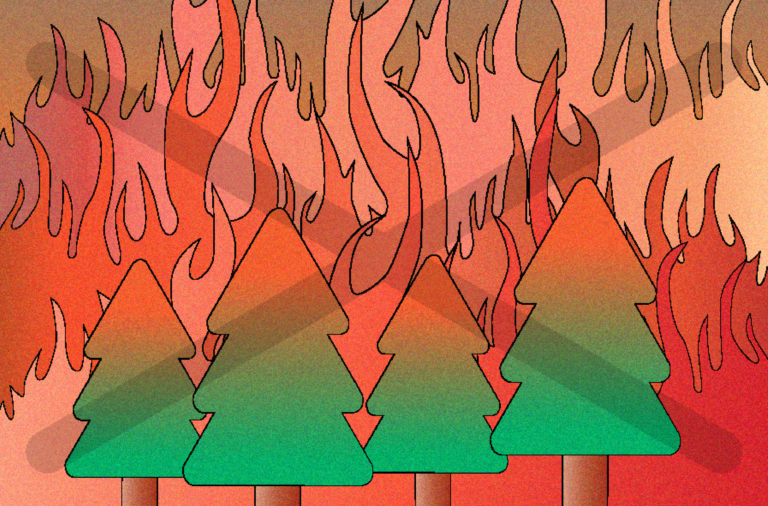 Yolo County Fire Safe Council members discuss year-round fire prevention efforts