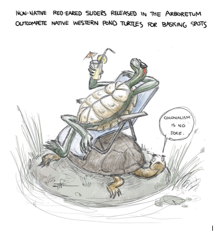 Don’t release your pet turtles in the Arboretum