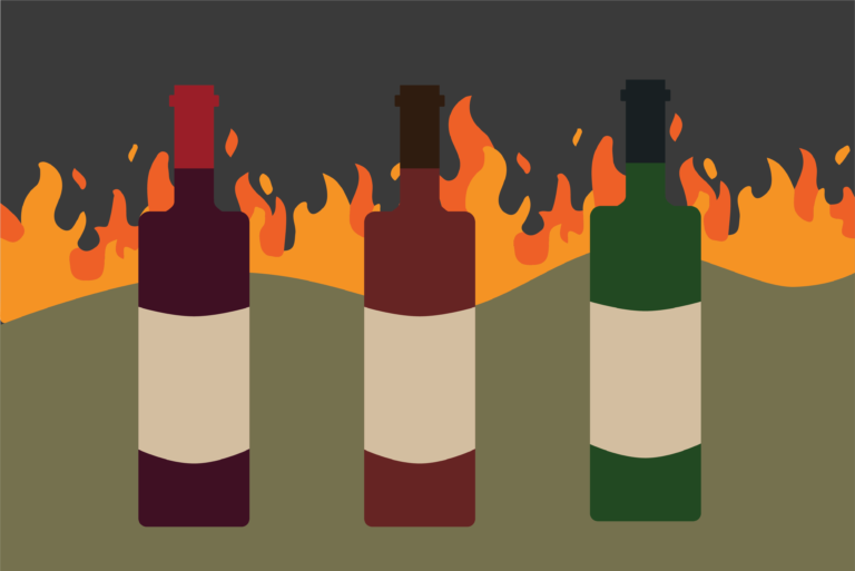 UC Davis researchers examine the severity of the effects of smoke taint on California wine