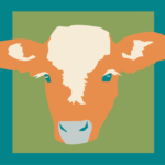 bodcows_fe_MARIO_RODRIGUEZ_AGGIE