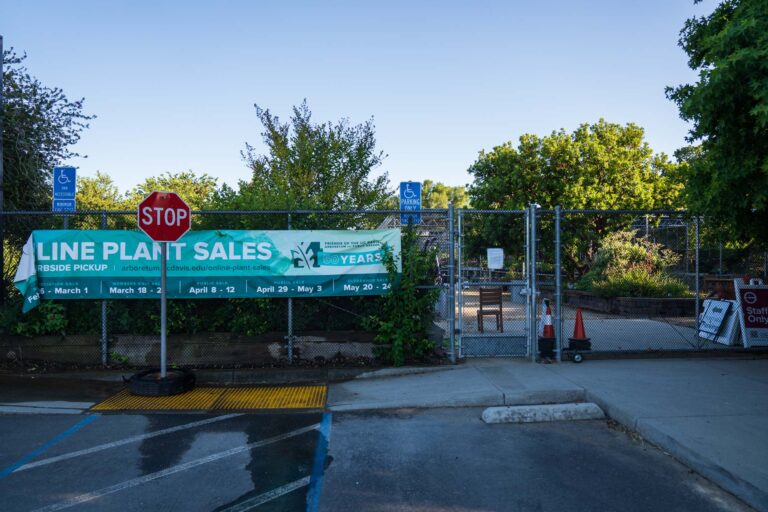 Best place to buy plants: UC Davis Arboretum Nursery