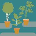 bodplants_fe_MARIO_RODRIGUEZ_AGGIE-01