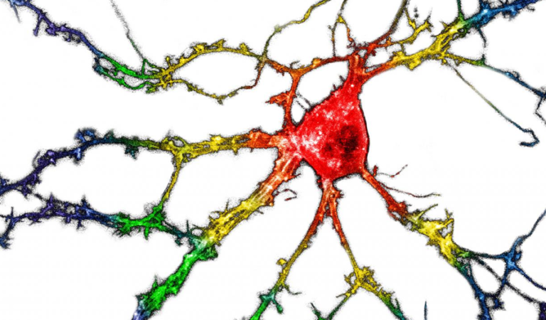 New fluorescent sensor developed by UC Davis researchers helps treat mental illness