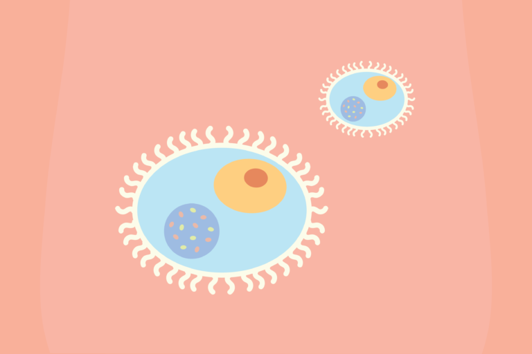 A vaccine for chlamydia may be possible, according to UC Davis researchers