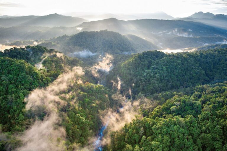 Nature documentary forced to retract literally everything