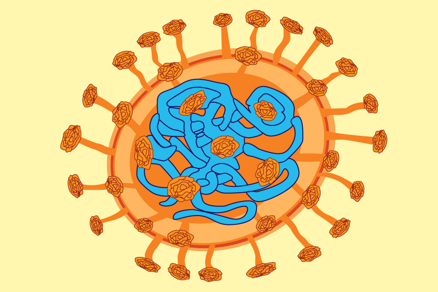An illustration of the Delta Variant cell structure