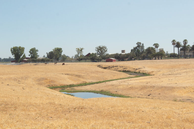 Yolo County issues emergency proclamation due to drought conditions