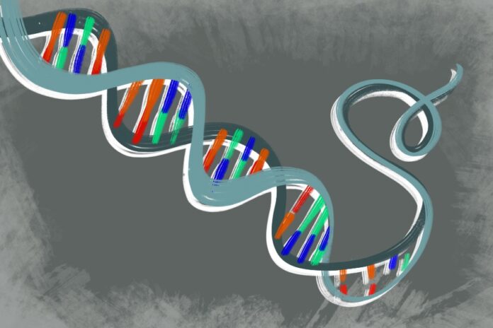 Graphic of curling DNA strand
