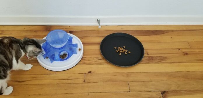 The set-up for the experiment offered food to cats both through a simple food puzzle, and on a tray.