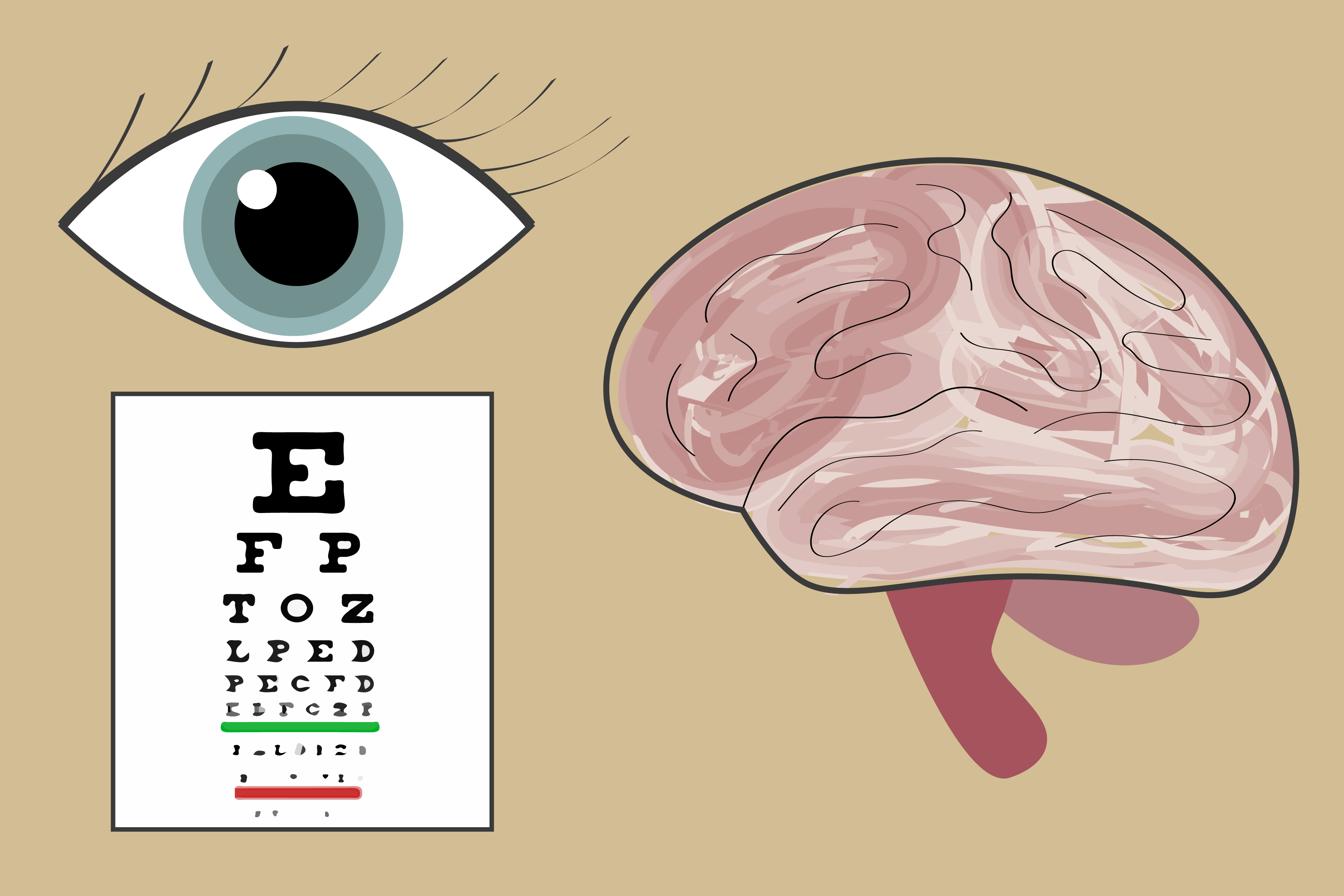 Graphic of eye and eye exam with a brain.