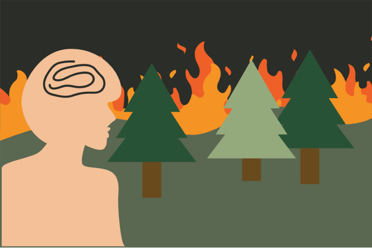 Increase in wildfires poses health risk to Davis community