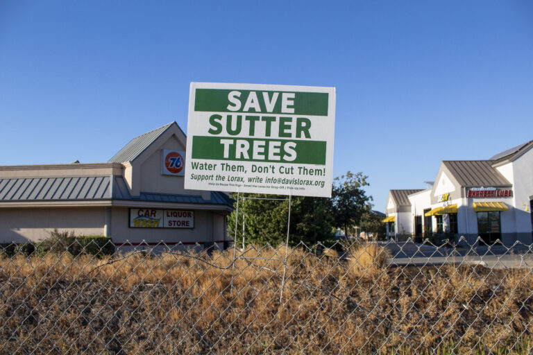 City of Davis discusses proposal to remove 63 trees from Sutter Davis Hospital, install solar carport panels
