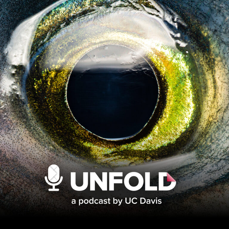 Third season of UC Davis podcast ‘Unfold’ features curiosity-driven research