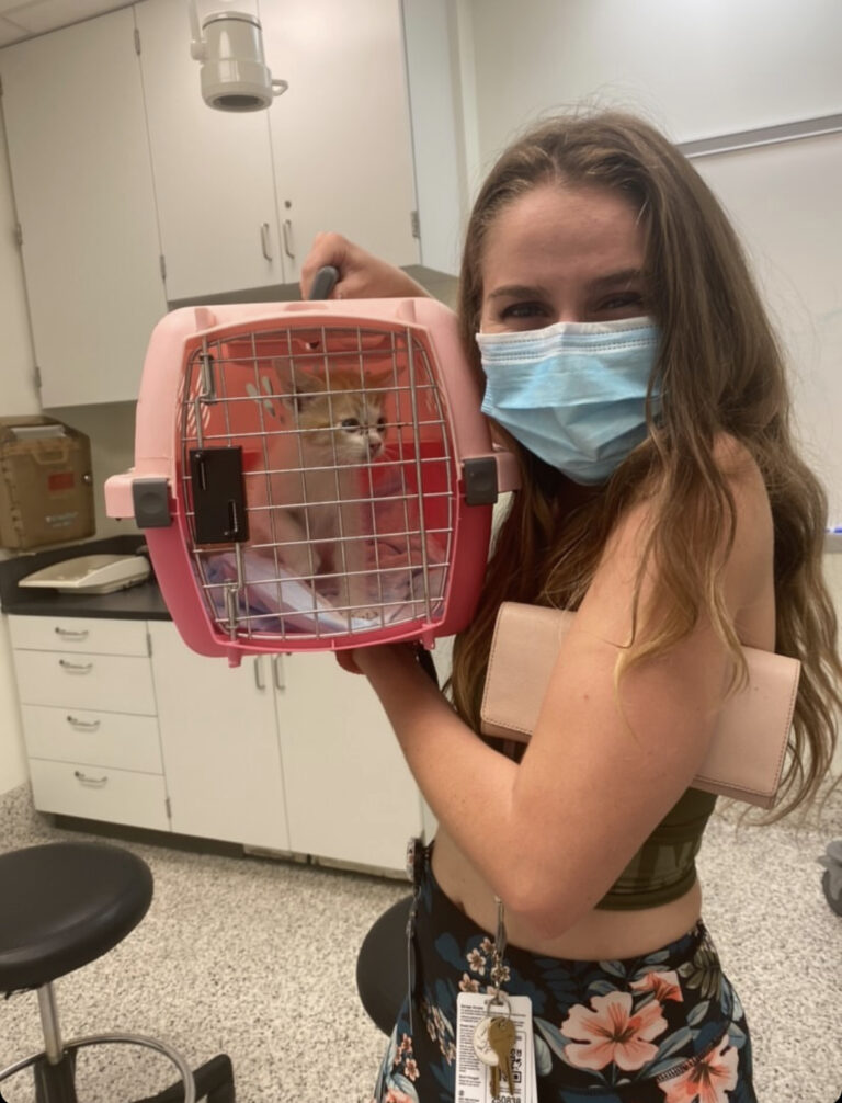 UC Davis School of Veterinary Medicine prioritizes student well-being