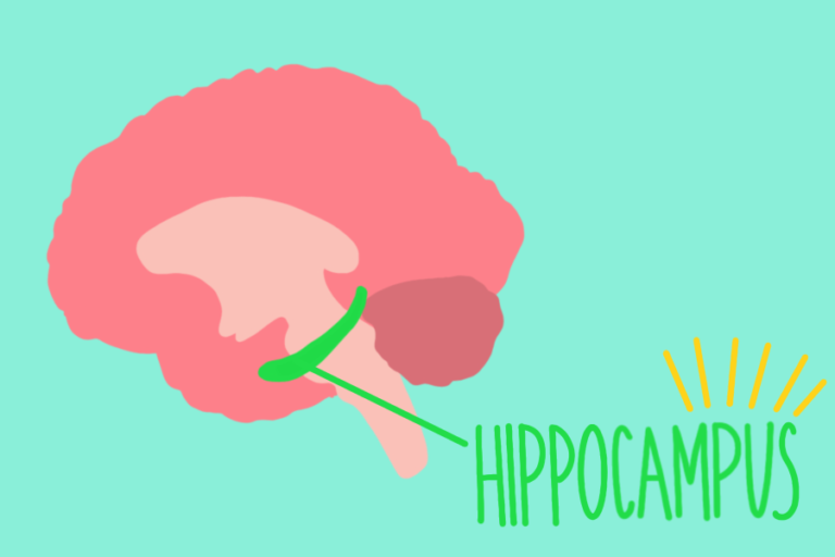 Hippocampus links separate events into single narrative