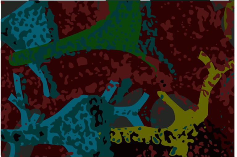 UC Davis researchers discover mysterious protein clusters’ function on cell body of neurons