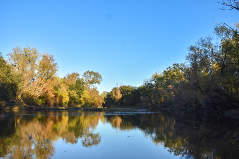 Putah Creek Council hosts parkway beautification event on Jan. 24