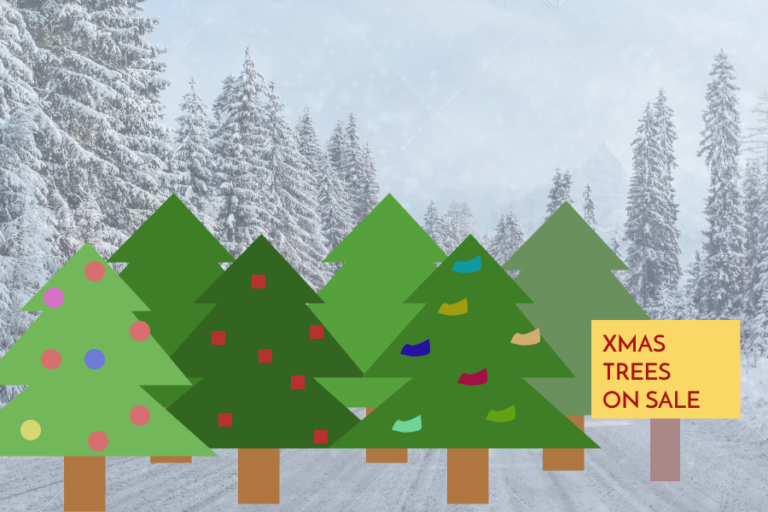 Experts share tips for recycling, disposing of holiday waste