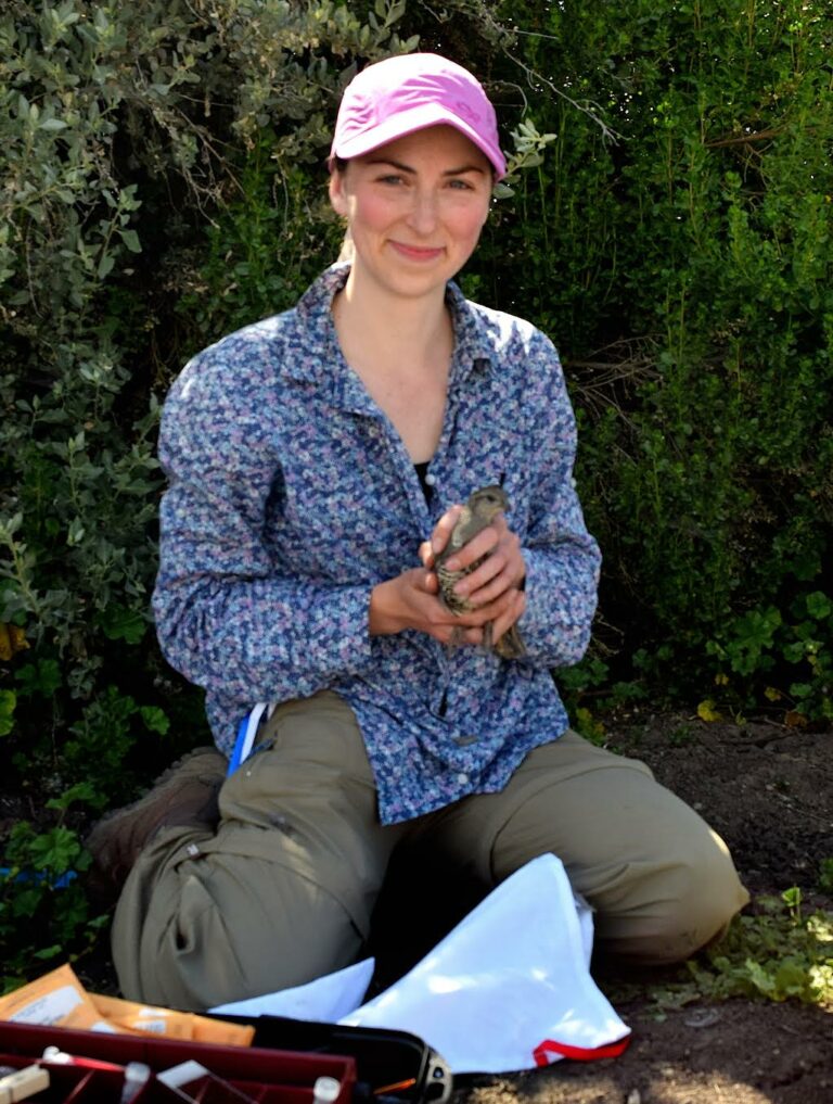 Is your spinach safe to eat? Most birds do not pose food safety threats to produce, new study finds