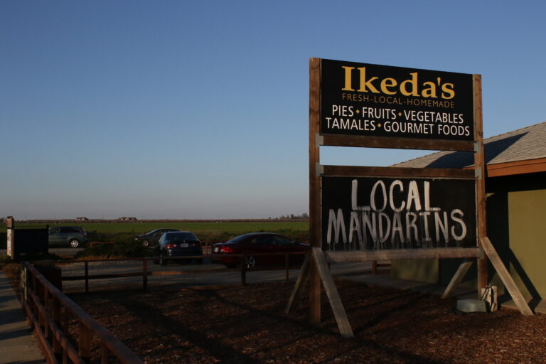 DiSC 2022 recommended for city council approval