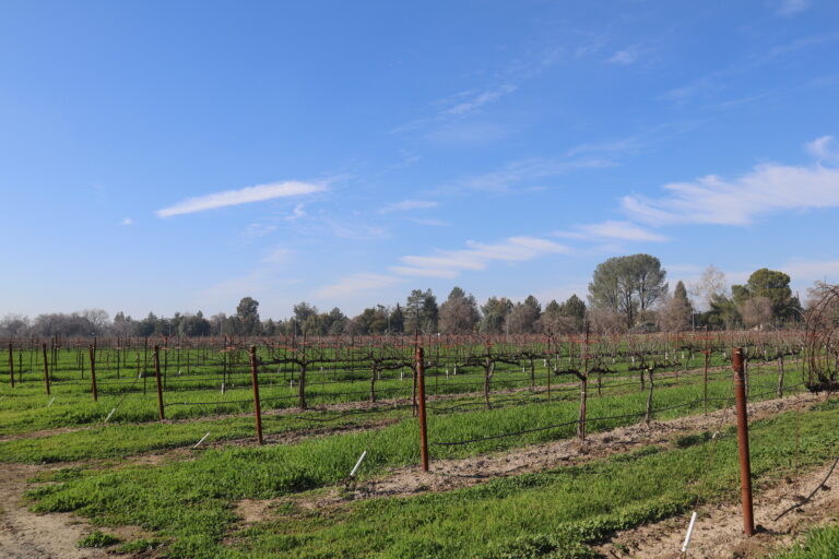 UC Davis receives $1.5 million in funding for pathways to climate-smart agriculture