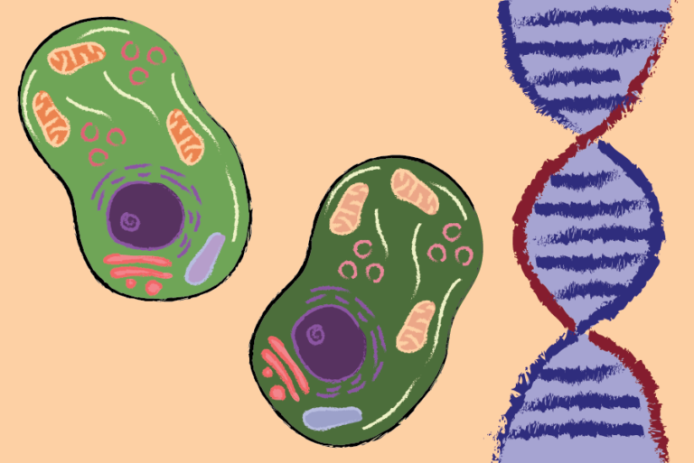 Earth BioGenome Project plans to sequence genome of every known eukaryotic organism