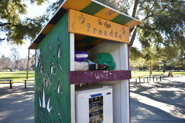 Student Farm helps combat food insecurity on campus